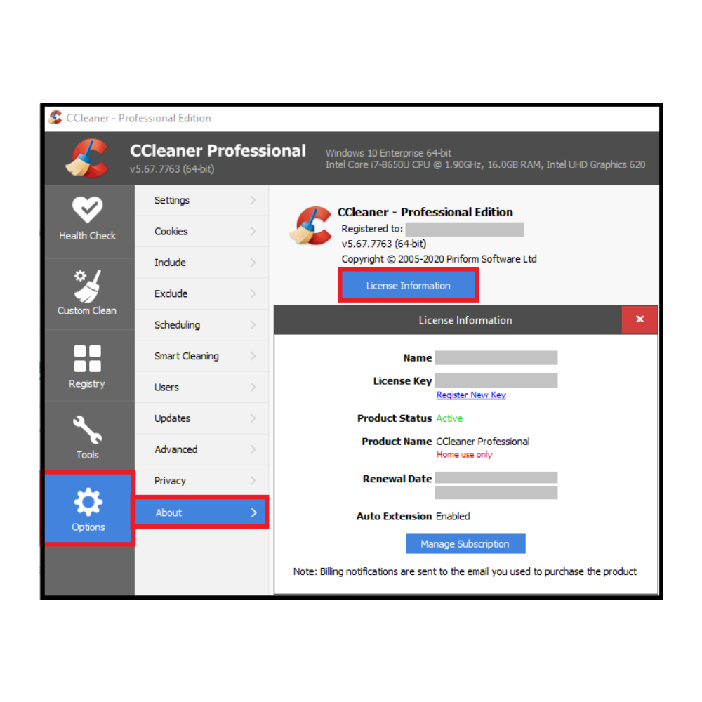 CCleaner Professional Dashboard