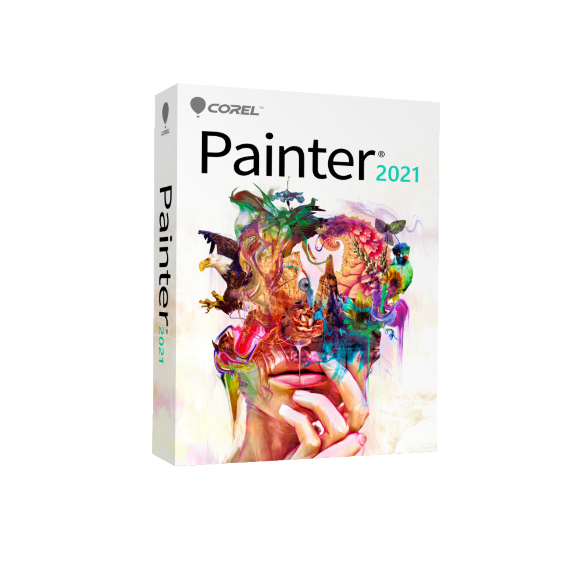 COREL Painter 2021 Upgrade WIN/MAC DE/EN/FR ESD