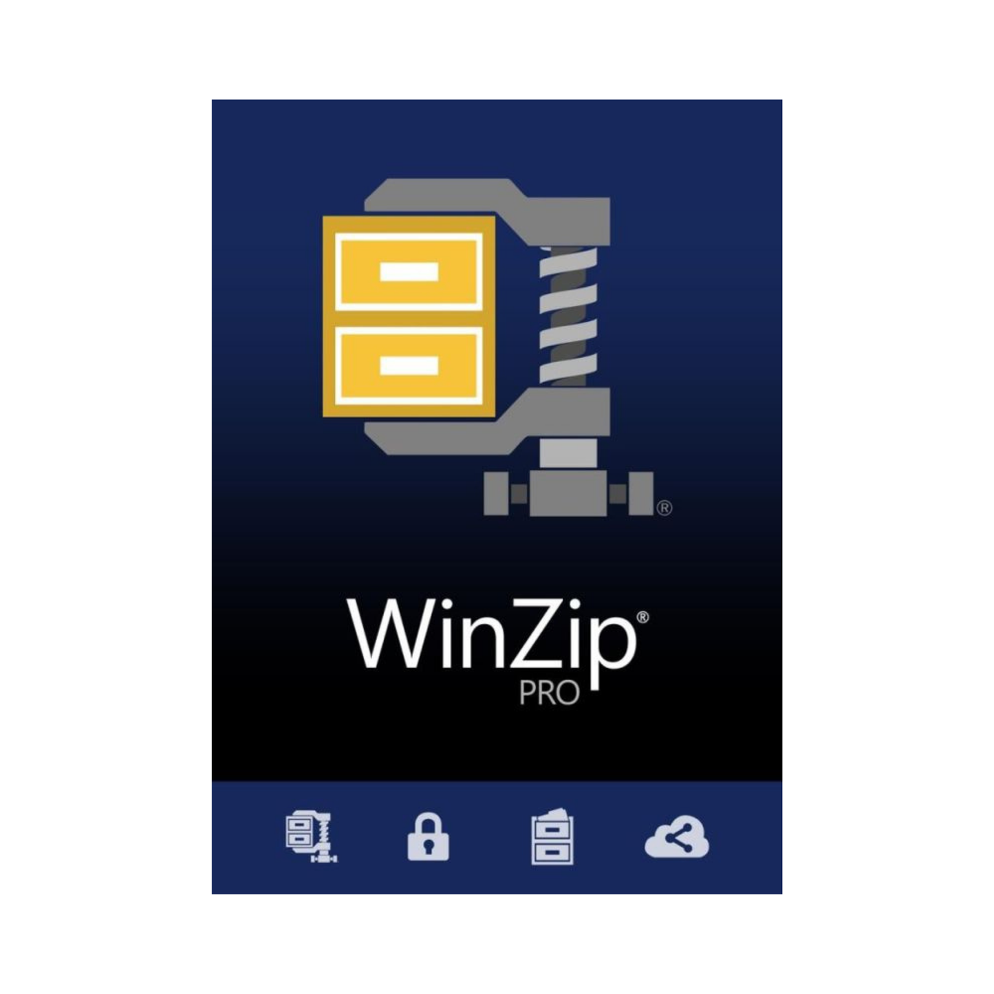 WinZip 28 Pro (1 PC - Dauerlizenz) ESD