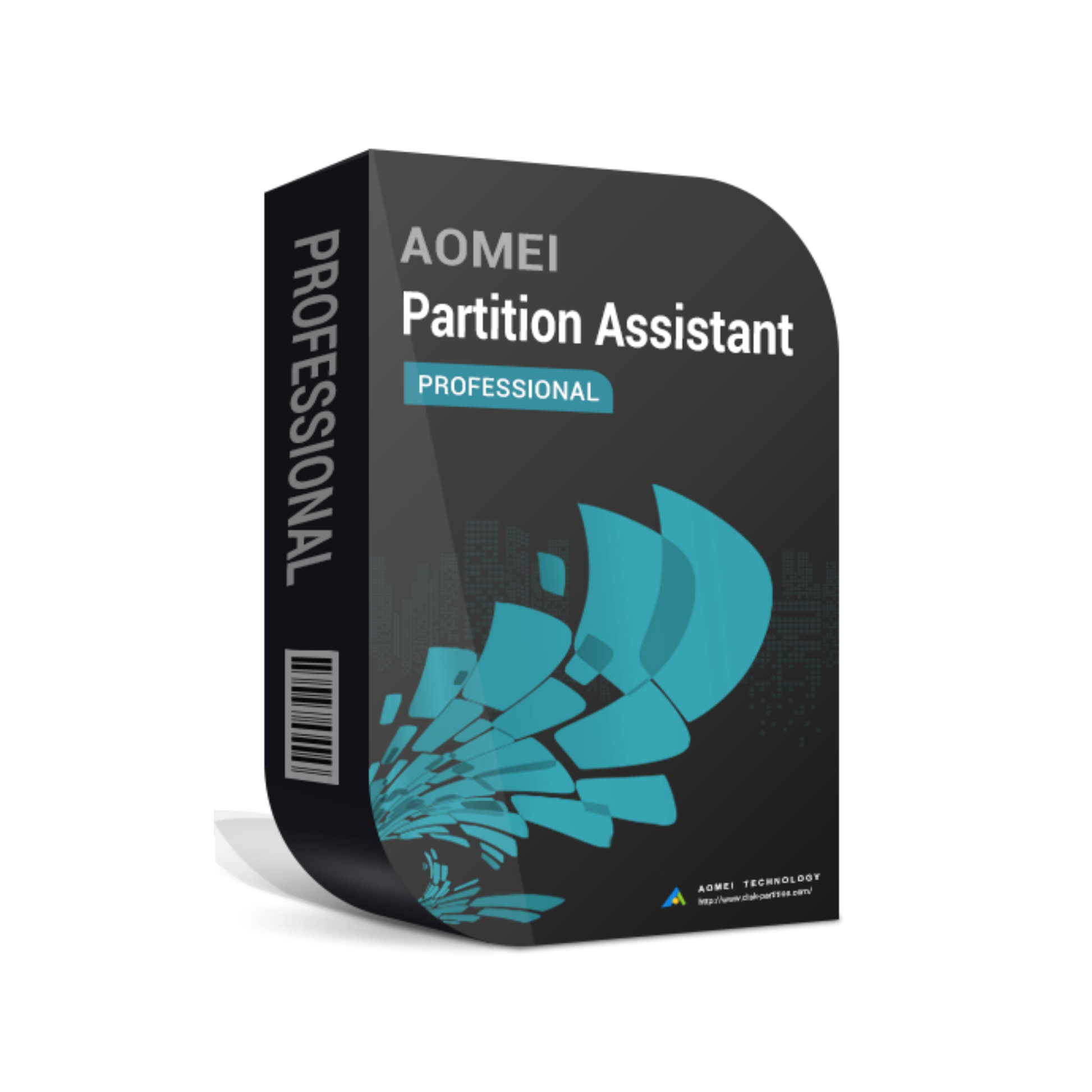 AOMEI Partition Assistant Pro (1 PC - Dauerlizenz) ESD 